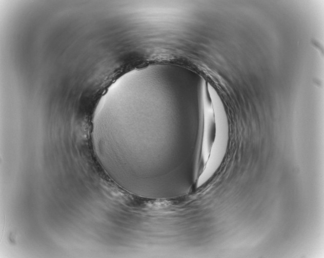 X0000093240517200710241258