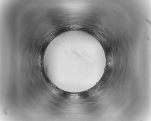 X0000093240519200710241258