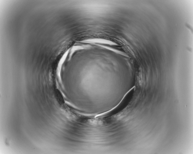 X0000093240520200710241258