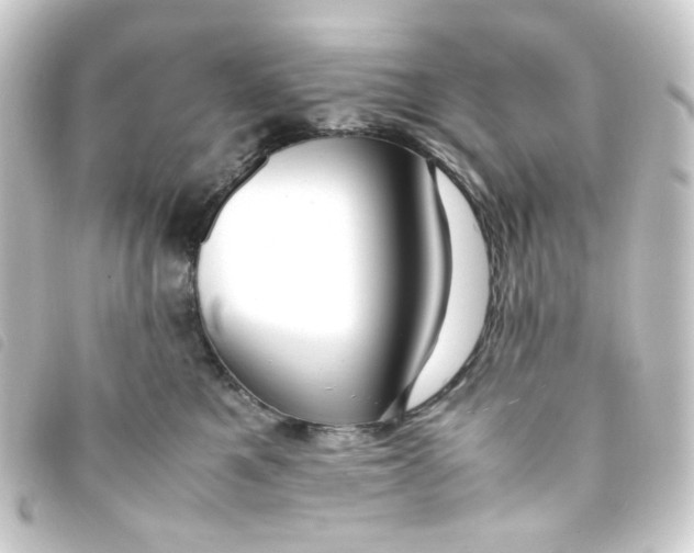 X0000093240521200710241258