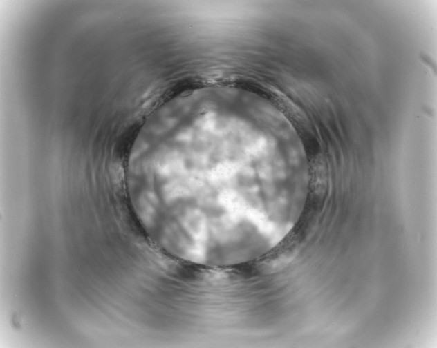 X0000093240523200710241258