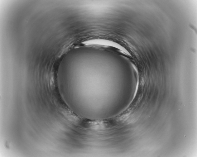 X0000093240524200710241258