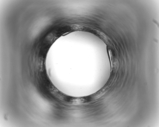 X0000093240525200710241258