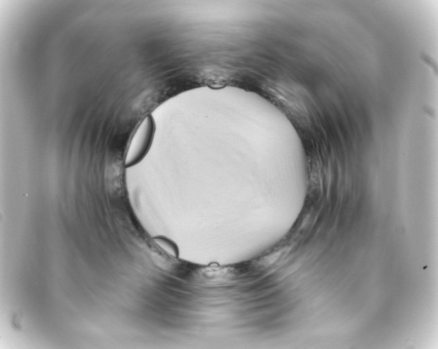 X0000093240526200710241258