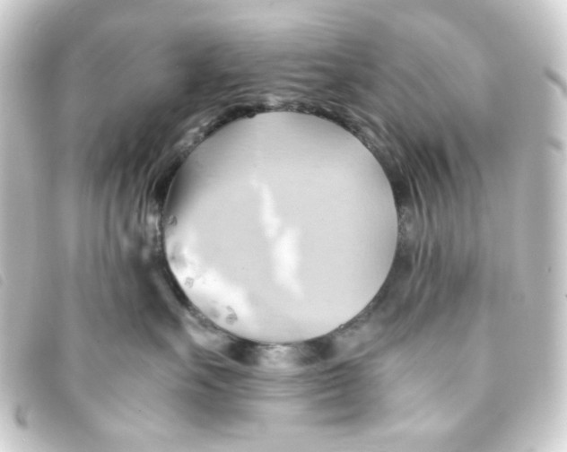 X0000093240527200710241258