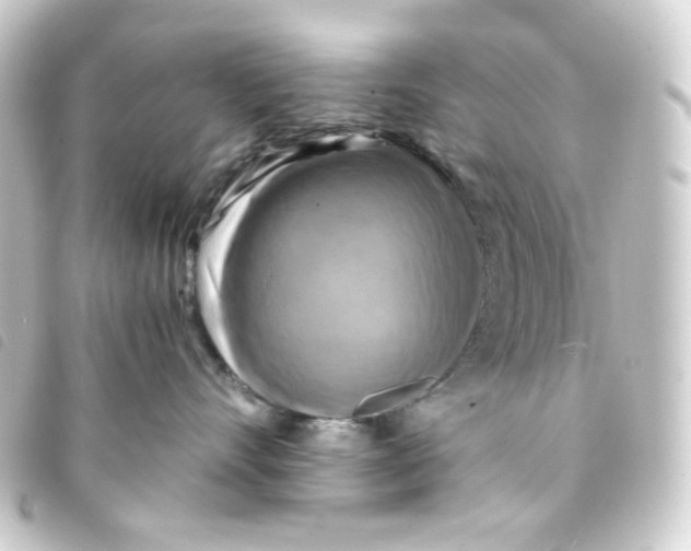 X0000093240528200710241258