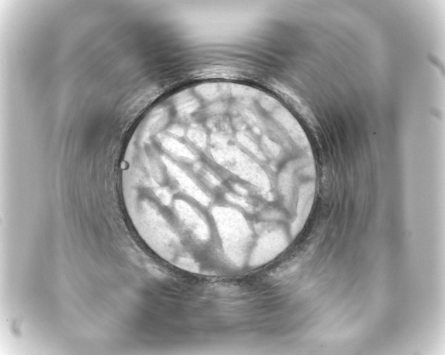 X0000093240529200710241257