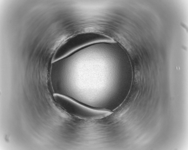 X0000093240530200710241257