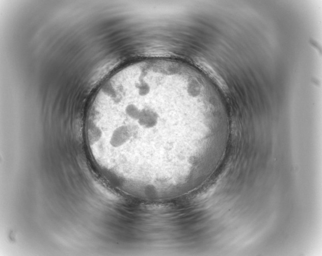 X0000093240533200710241257