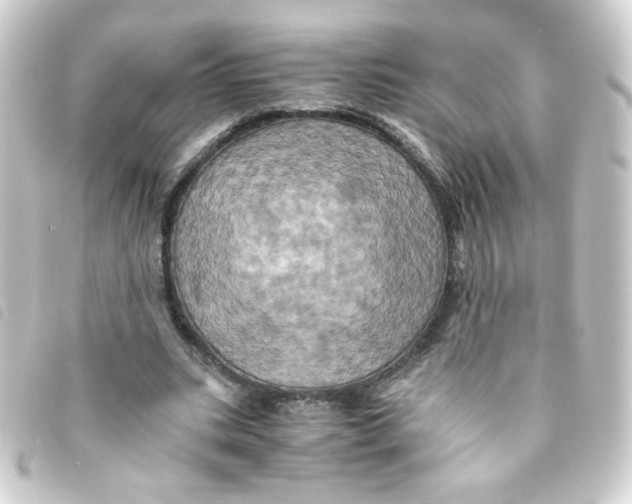 X0000093240535200710241257