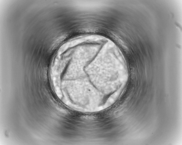 X0000093240537200710241257