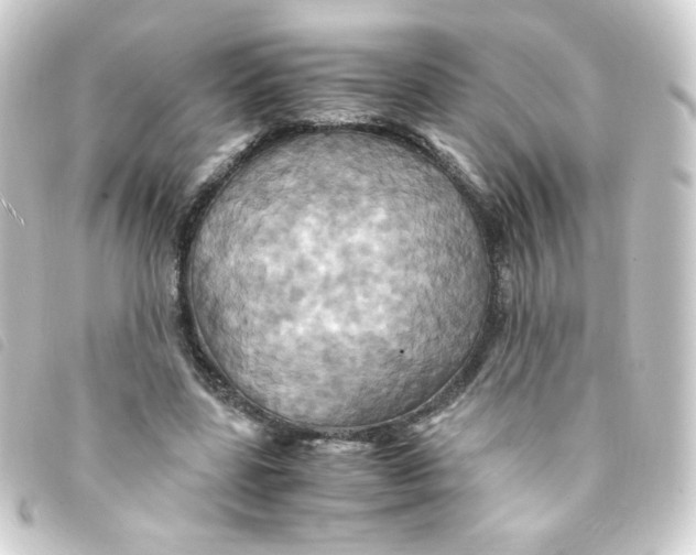 X0000093240539200710241257