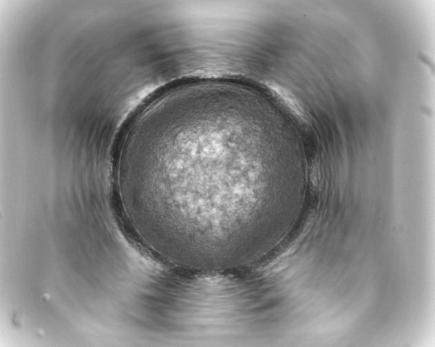 X0000093240540200710241257