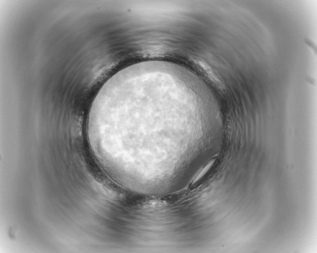 X0000093240543200710241257