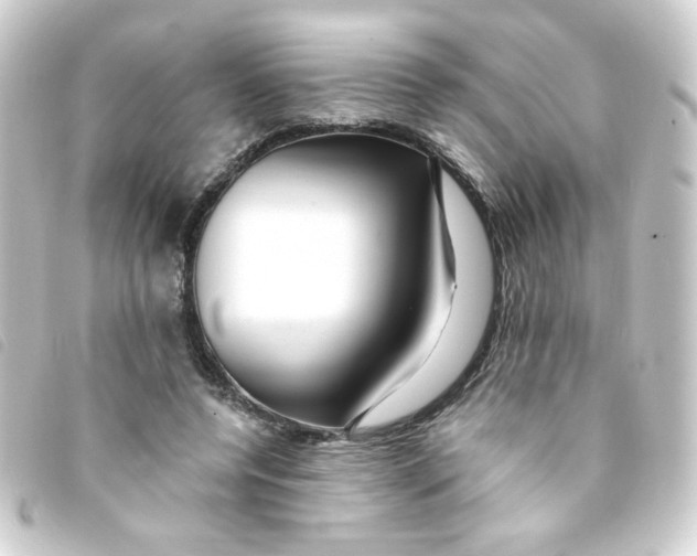 X0000093240544200710241257