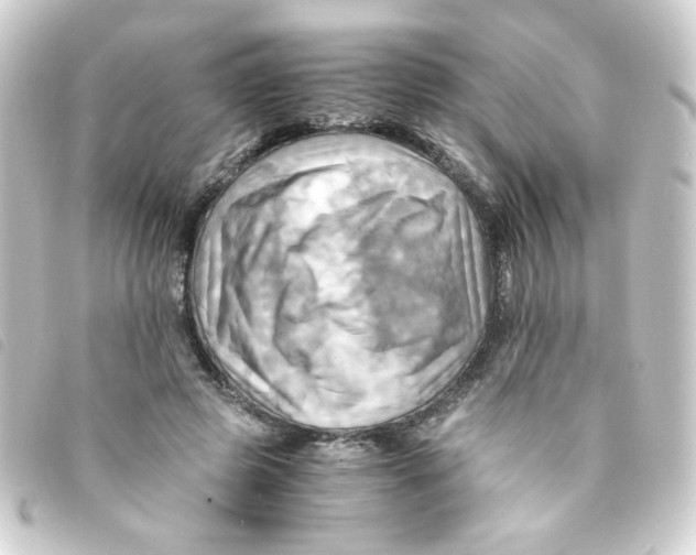 X0000093240545200710241257