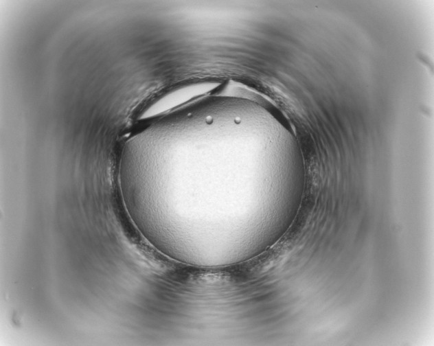 X0000093240546200710241257