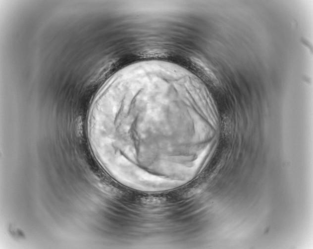 X0000093240549200710241257