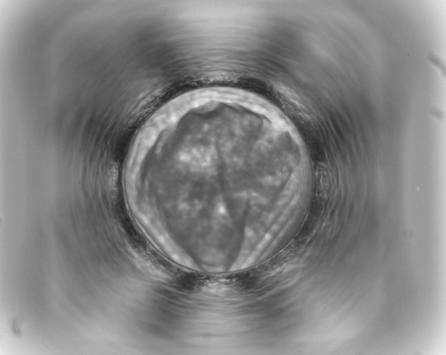 X0000093240550200710241257