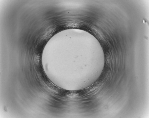 X0000093240551200710241257