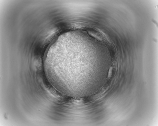 X0000093240552200710241257