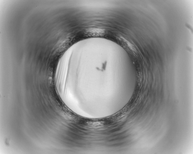 X0000093240553200710241257