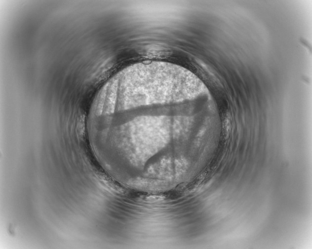 X0000093240554200710241257