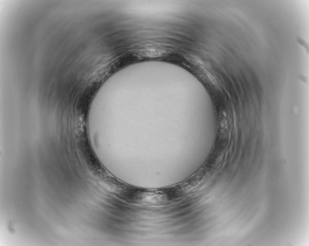 X0000093240555200710241257