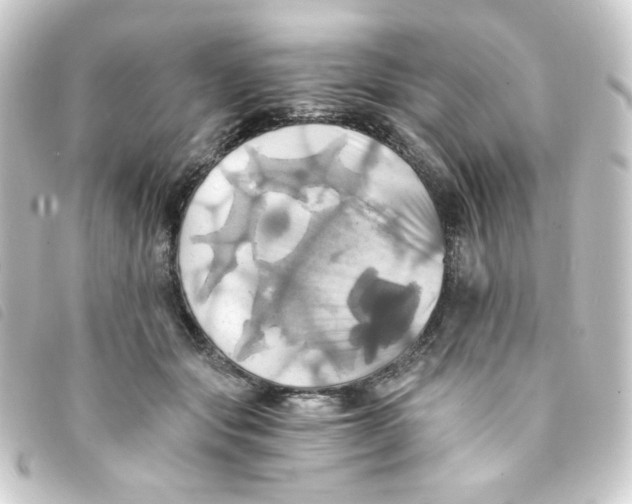 X0000093240557200710241257