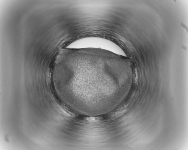 X0000093240558200710241257