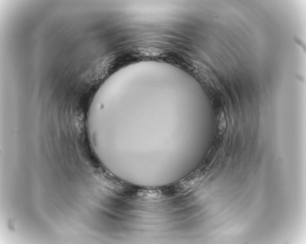 X0000093240559200710241257