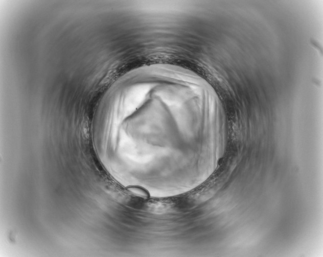 X0000093240561200710241257