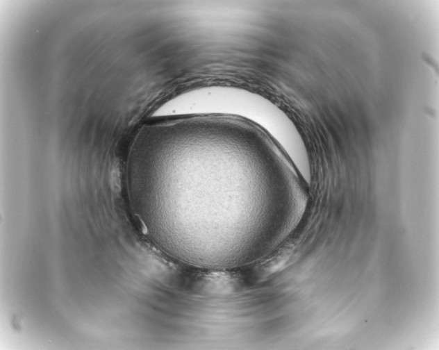 X0000093240562200710241257