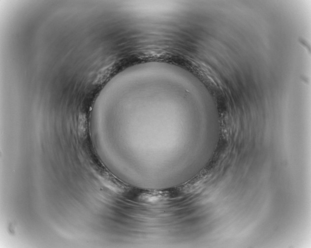 X0000093240563200710241257