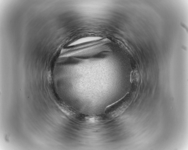 X0000093240564200710241257