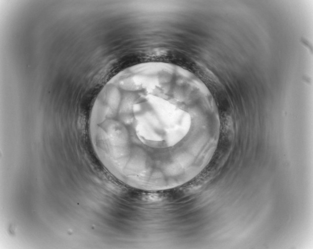 X0000093240565200710241257