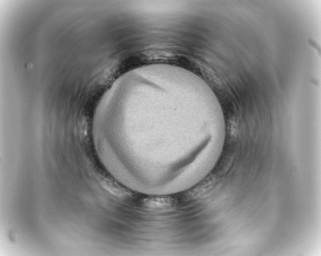 X0000093240567200710241257