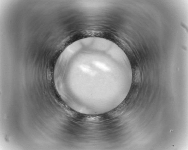 X0000093240569200710241258