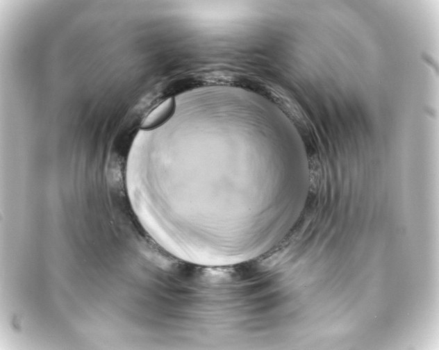 X0000093240573200710241258