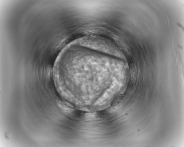 X0000093240574200710241258