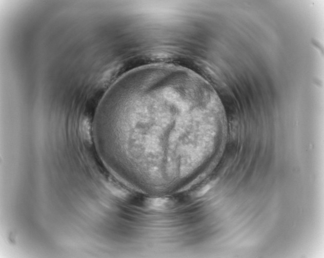 X0000093240575200710241258