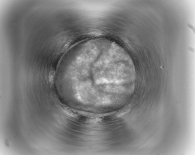 X0000093240576200710241258