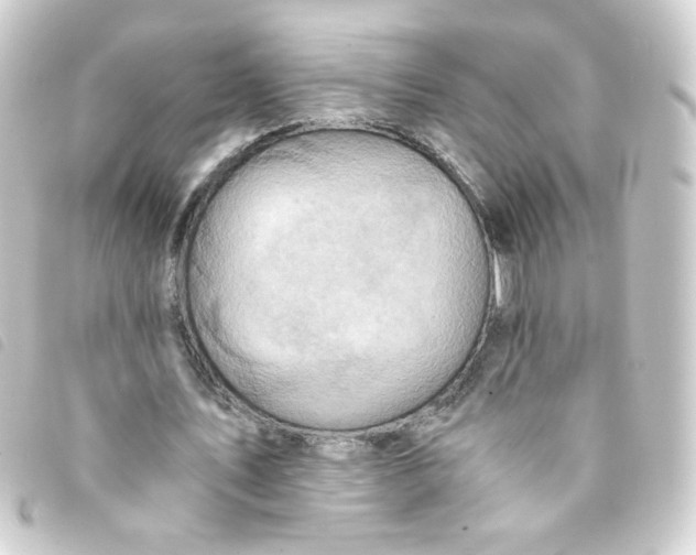 X0000093240579200710241257