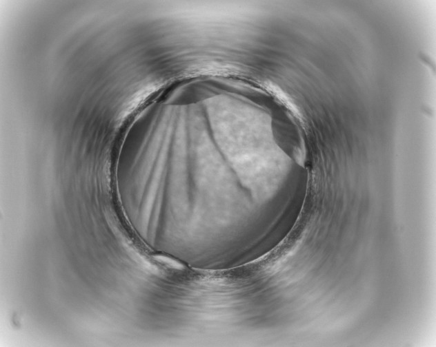 X0000093240581200710241257