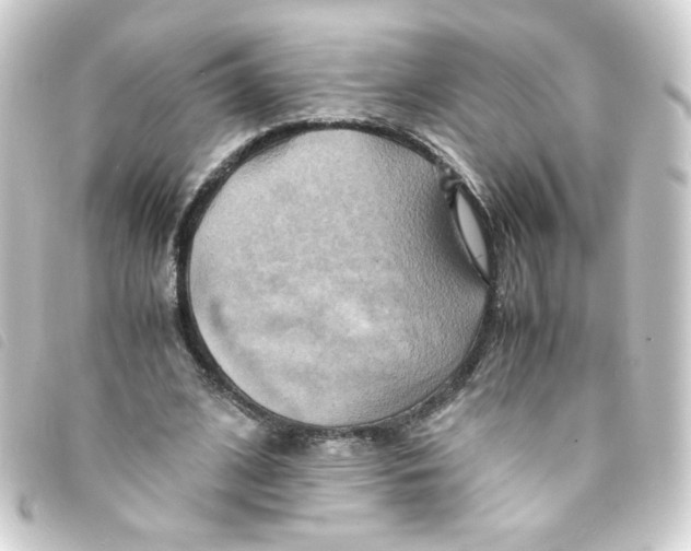 X0000093240584200710241257