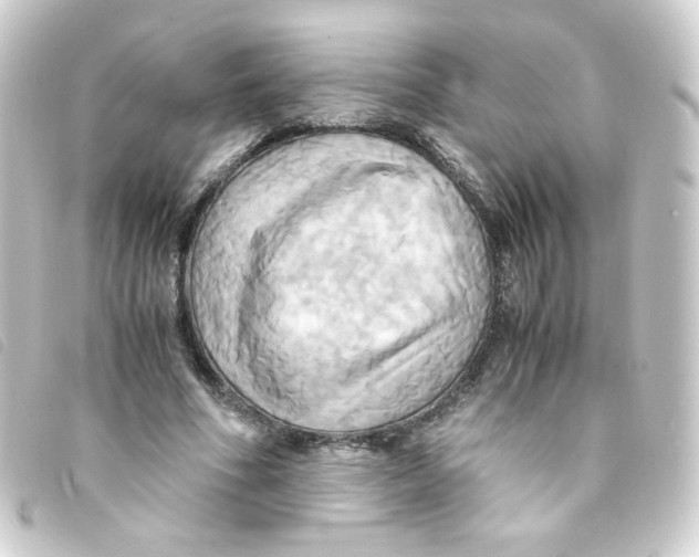 X0000093240586200710241257