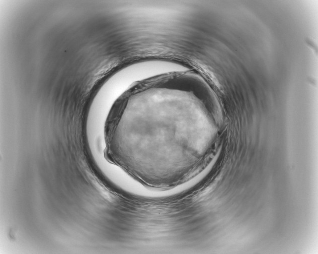 X0000093240589200710241257