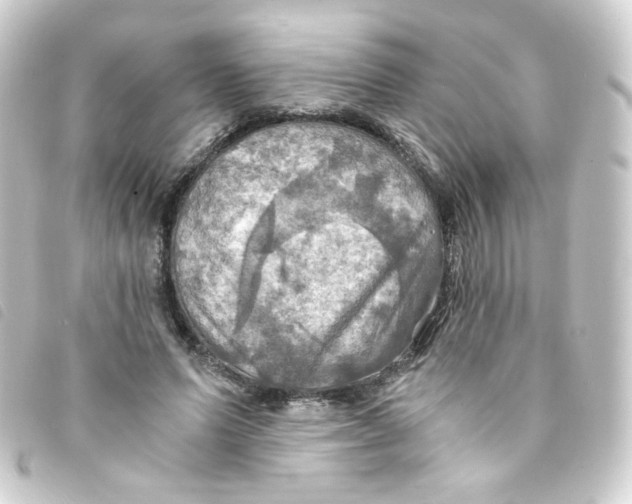 X0000093240591200710241257