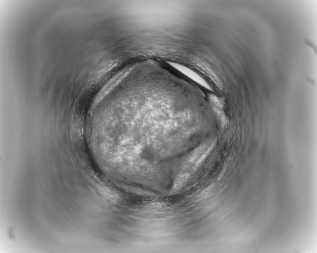 X0000093240593200710241257