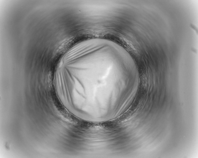 X0000093240594200710241257